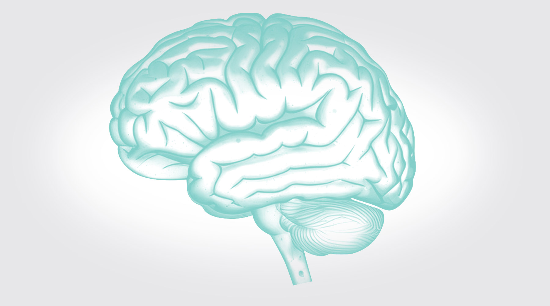 Latin America Epilepsy Surgery