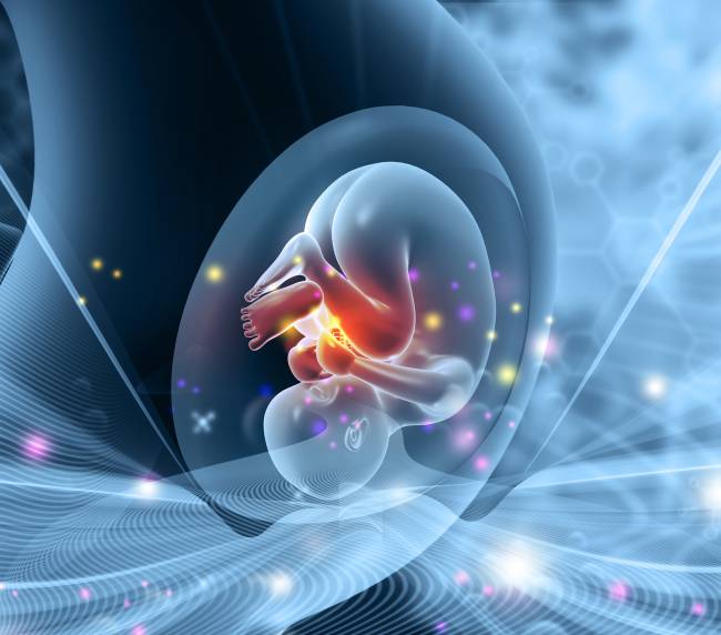 Ilustração de uma mulher grávida, com o bebê em seu útero, fundo azul futurista